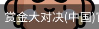 赏金大对决